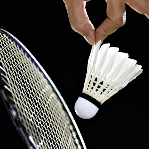 Fjerbolde badminton
